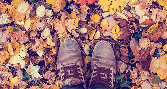 November Bucket List